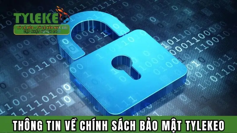 Top các thông tin về chính sách bảo mật Tylekeo