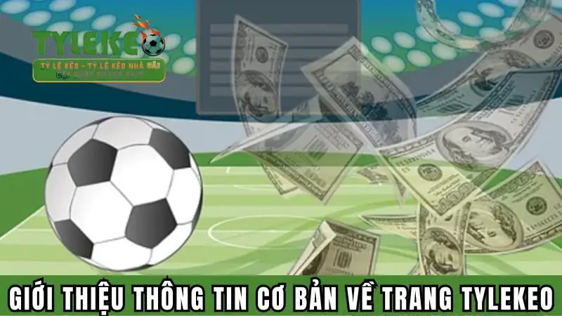 Giới thiệu thông tin cơ bản về trang Tỷ lệ kèo